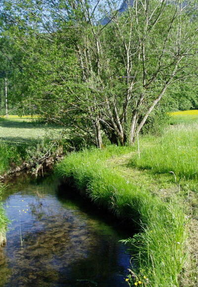 Der Ulvenbach in Bizau