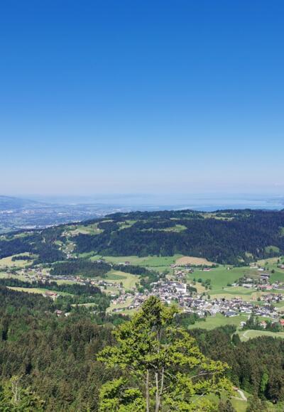 Blick auf Alberschwende vom Brüggelekopf