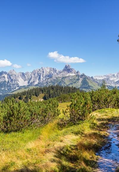 Wanderweg