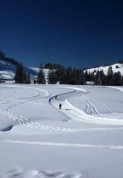 Winterwandern am Hochhäderich