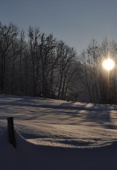 Andelsbuch | Winterwanderweg Moos