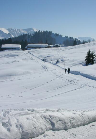 Hochälpele bei Schwarzenberg