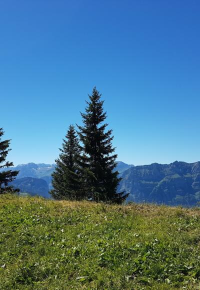 Panoramaweg Baumgarten