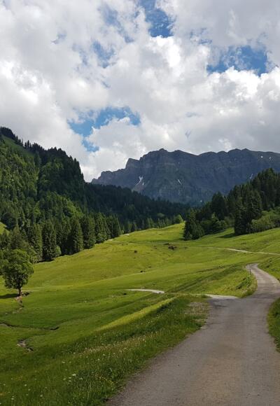 Wanderweg in Schönenbach