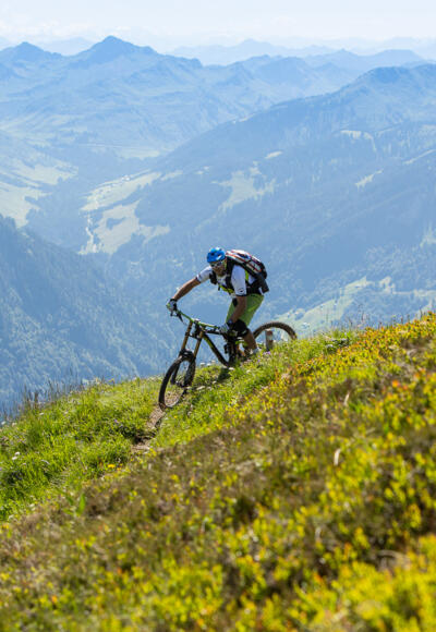 Mountainbiker in den Bergen