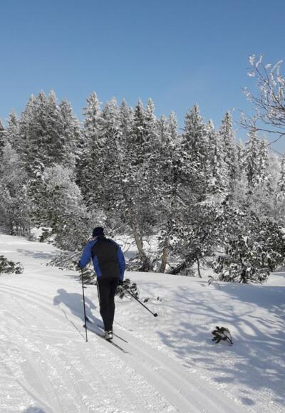 Schöne Loipe am Bödele
