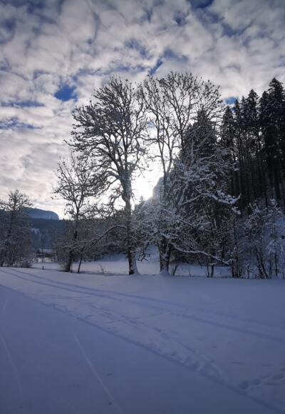 Langlaufen in Bizau