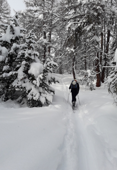 Hochwald