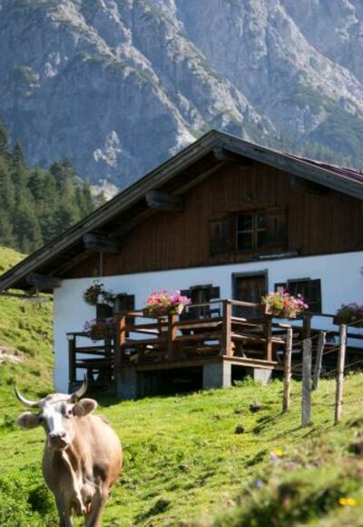 Schießlingalm St. Ulrich am Pillersee