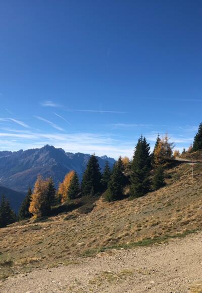 Blick in die Sextner Dolomiten