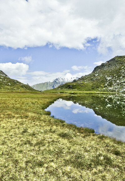 Foiskarsee
