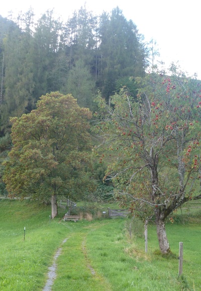 Bei Atzing