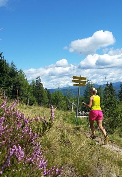 Traumhafter Anstieg auf der Südseite vom Speiereck