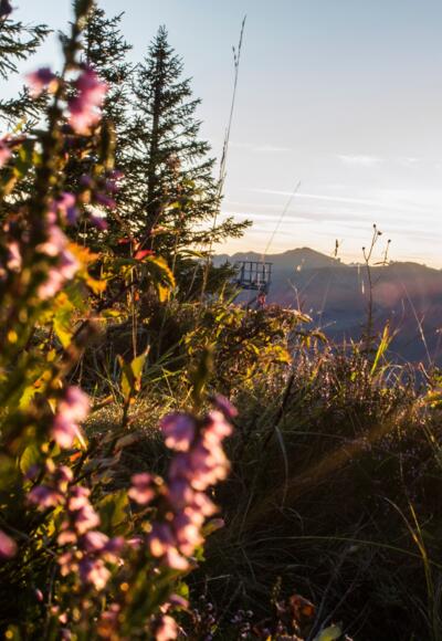 Sonnenaufgang Walmendingerhorn