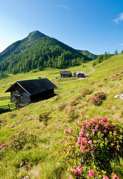 Lackenalmen mit Lackenkogel (2050 m)