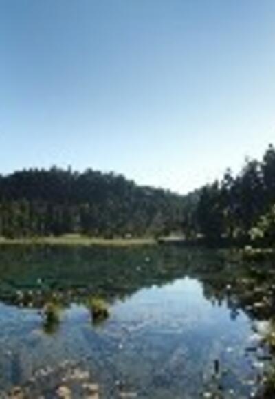 Der See