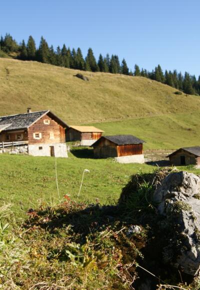 Alpe Latschätz