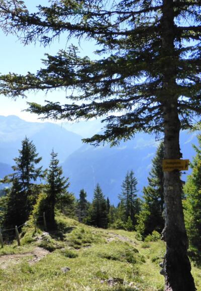 Falla - Aussichtspunkt