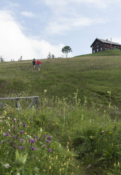 Alpwegkopfhütte  (c) Martin Vogel / Vorarlberg Tourismus