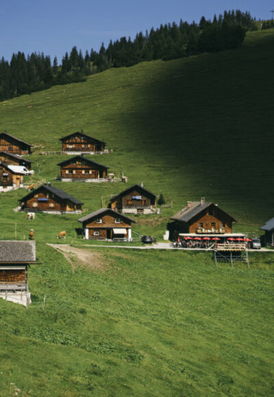Alpe Gamp (c) Dominic Berchtold / Vorarlberg Tourismus