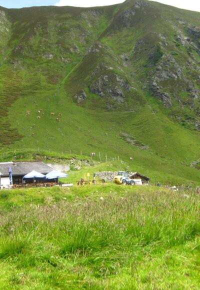 Bewirtschafteter Gartalm-Hochleger