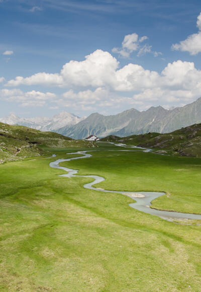 Das einzigartige Hohe Moos direkt hinter der Hütte.