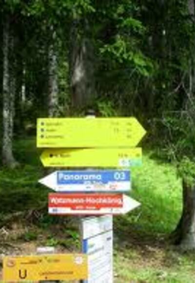 Panoramarunde