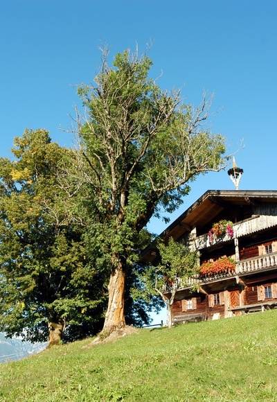 Drehort Söll - Wohnhaus Bergdoktorfamilie