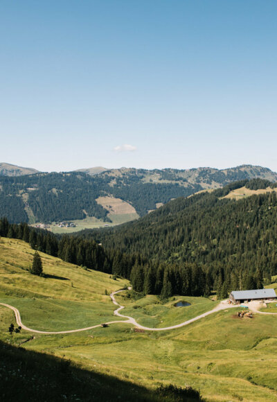 Güntle Alpe (c) Nina Bröll / Vorarlberg Tourismus