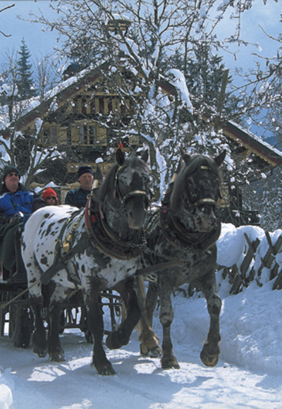 Pferdeschlittenfahrt zu den Hofalmen