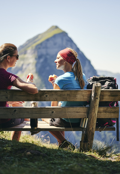 Liegstein mit atemberaubendem Ausblick