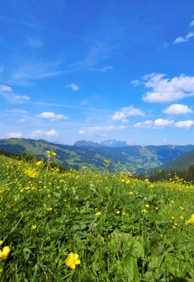 Zwölferkogel Rundweg