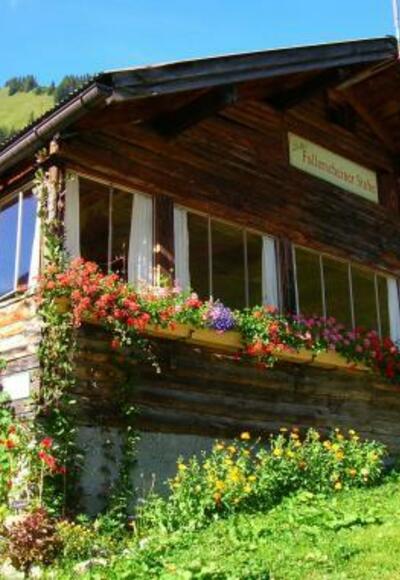 Michls Fallerscheinstube