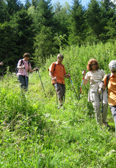 Der Naturlehrweg in Hollersbach