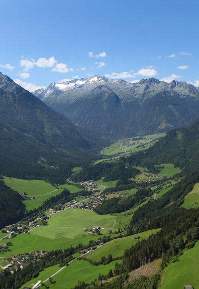 Wald