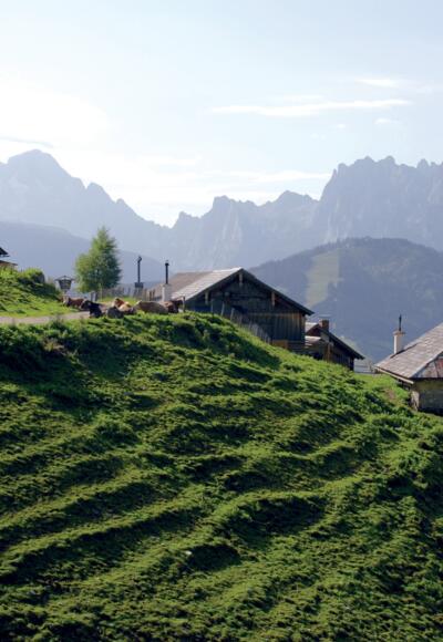Blick von der Rinnbergalm