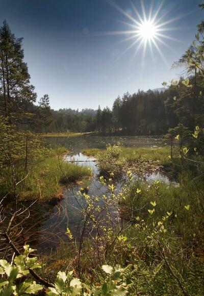 Riedener See