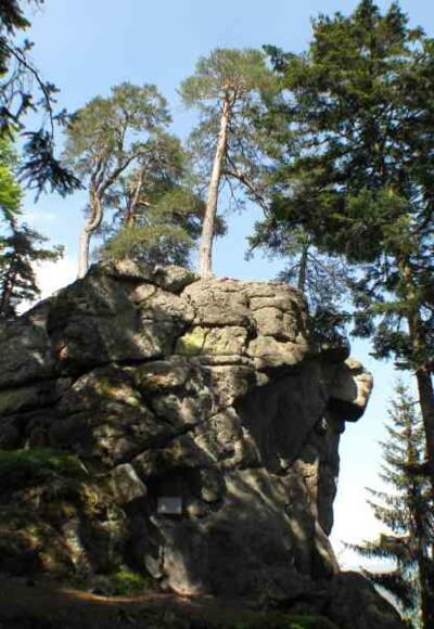 Kühstein - Brezer-Jausen-Weg