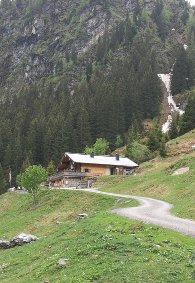 Saalalm