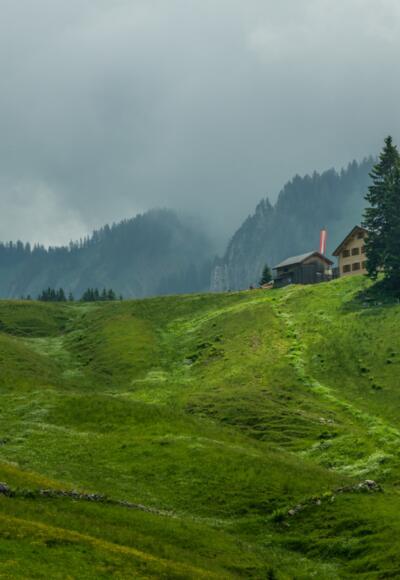 Blick auf die Wildmoosalpe