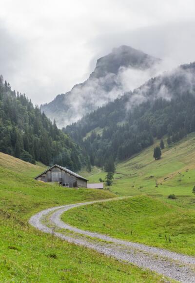 Weg zur Weißenbachalpe