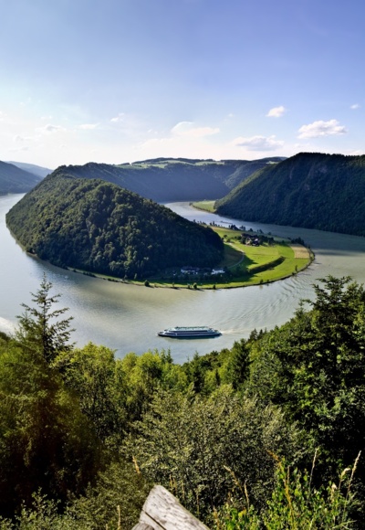 Schlögener Schlinge Panorama