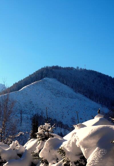 Gr. Mitterberg 1231m von der Hengstpaßstraße gesehen