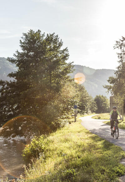 Am-Donauradweg-in-der-Schl%c3%b6gener-Schlinge_Ober%c3%b6sterreichTourismusGmbH_MoritzAblinger_NEU