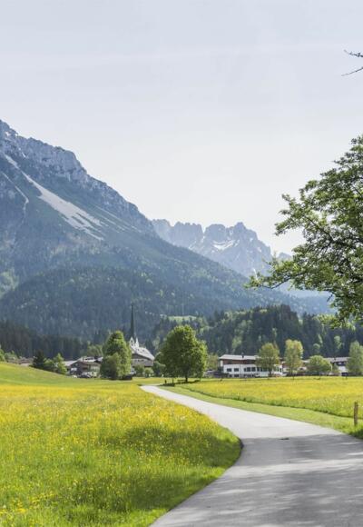 Scheffau_Sommer_Wilder Kaiser
