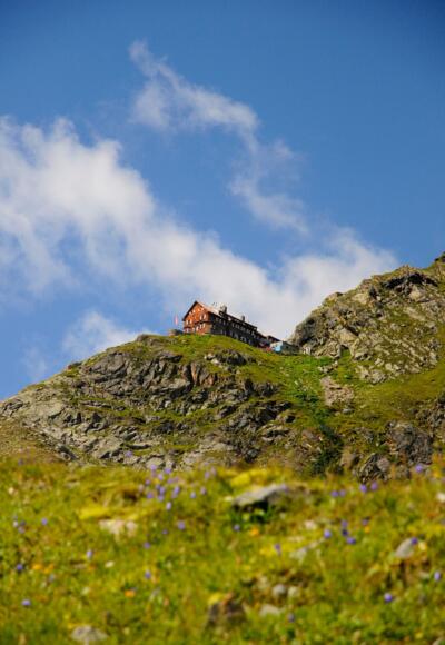 Die Flanke hinauf zur Saarbrücker Hütte präsentiert sich im Hochsommer in sattem Grün.