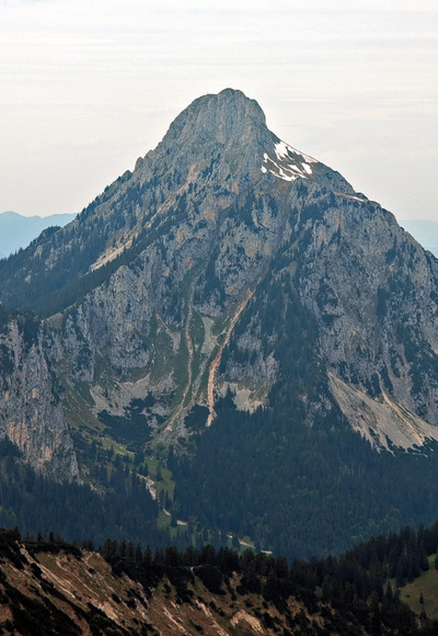 Der Säuling.