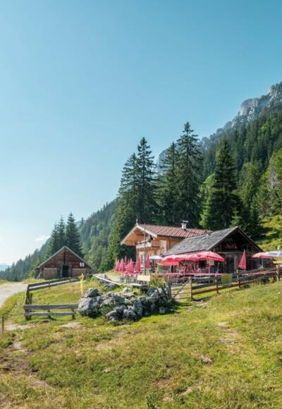 Scheffau_Steiner-Hochalm_Wilder Kaiser