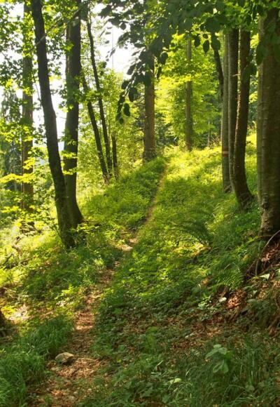 Wegverlauf in die Mösern
