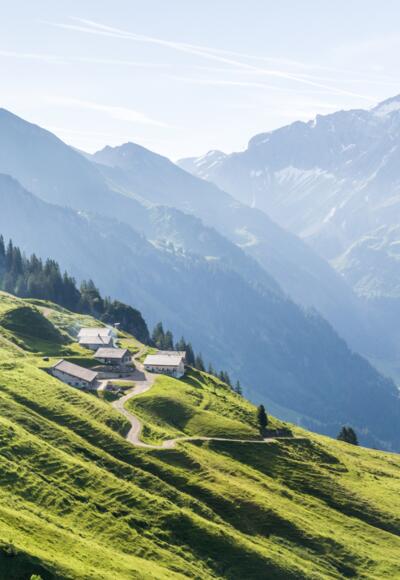 Blick auf Ober-Überlutalpe und ins Metzgertobel